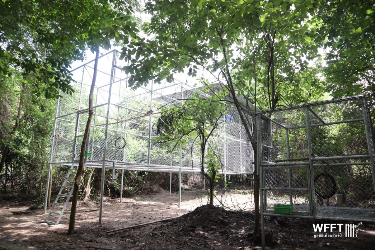 One Of Many New Enclosures At WFFT